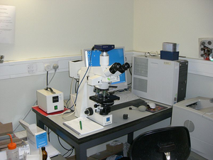 Lab and microscope.png