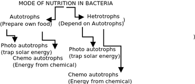 Mode of Nutrition in Bacteria.png