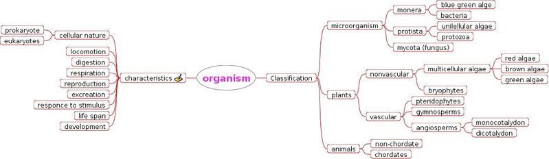 File:Background Material - Organisms html m19383801.jpg