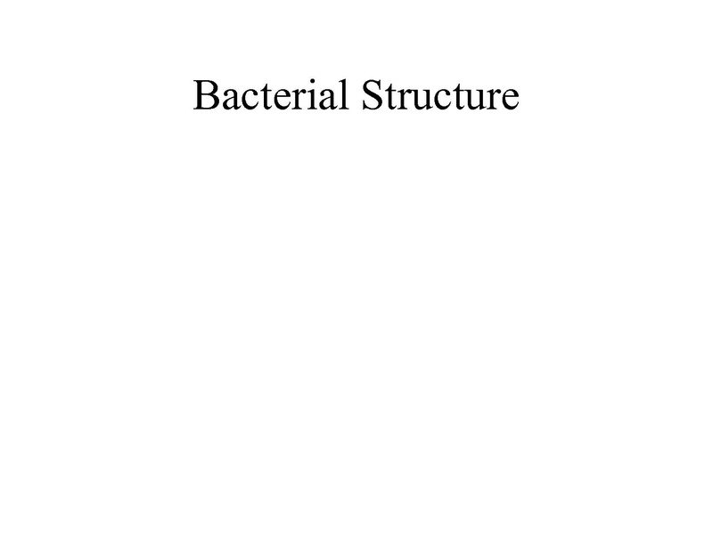 File:Bacterial Structures (1).pdf